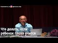 Торсунов О.Г.  Что делать если ребёнок плохо учится