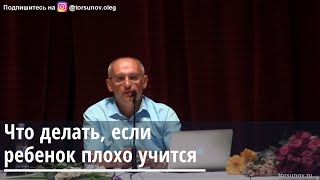 Торсунов О.Г.  Что делать если ребёнок плохо учится