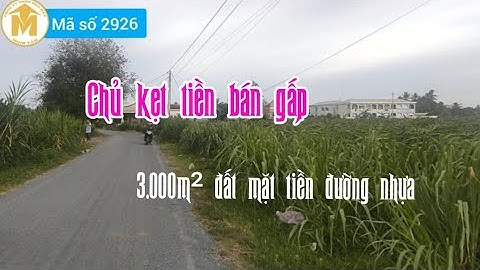 Bán 3.000m² đất vườn đường nhựa, cách Trung tâm huyện Chợ Gạo 5km, giá 1,5 tỷ 1 công - MS 2926