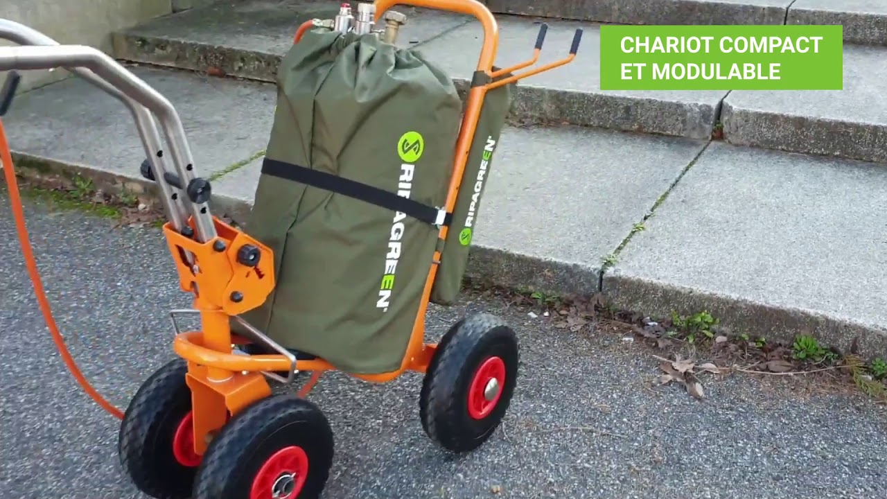 Pack Easy + Ripagreen