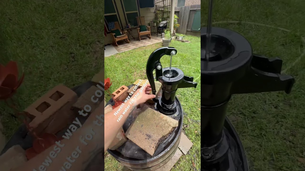 New rain water barrel. #shorts #fyp #rainwater #garden #short