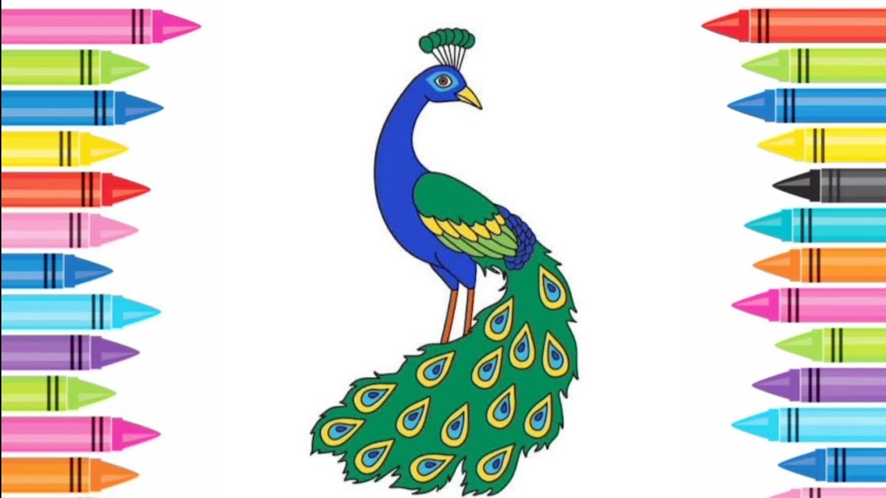 how to draw easy peacock 🦚 drawing for beginners #art - YouTube