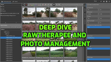 Mastering Photo Management in RawTherapee – A Quick Guide!
