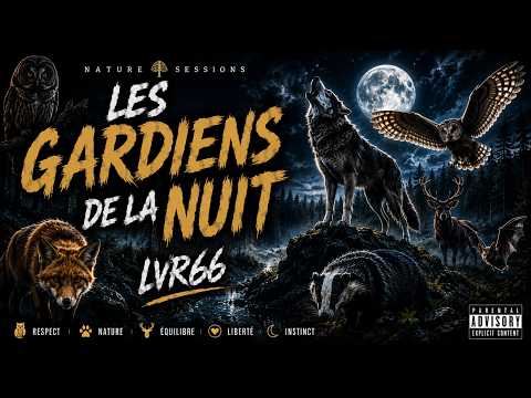 🦉 LES GARDIENS DE LA NUIT | LVR66 (Nature Sessions) #LVR66 #NatureSessions #foret
