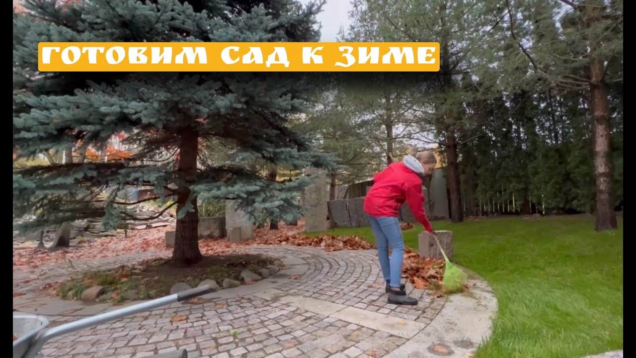 Дизайн сада