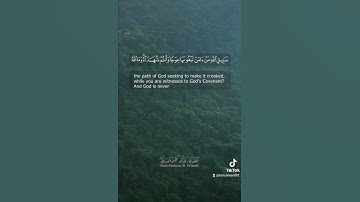#تلاوات #اللهم اجعل القرآن العظيم ربيع قلوبنا ونور صدورنا يارب العالمين 🤲#القران_الكريم #القران_راحة