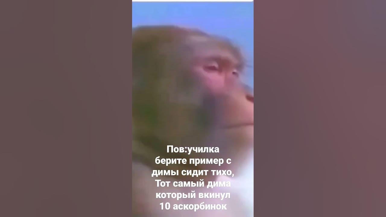 маленький бабиджон песня. грустный бабиджон. маленький бабиджон мем.