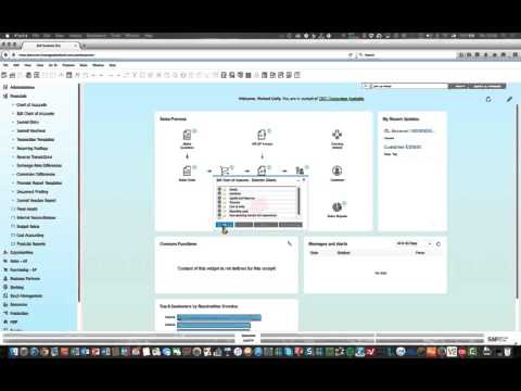 Adding+Editing the Chart of Accounts in SAP Business One 9.2