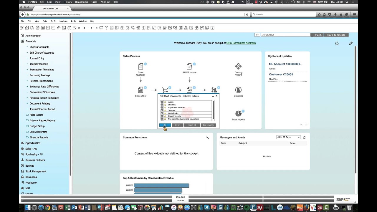 Chart Of Accounts In Sap Business One