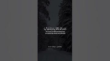 عبدالله الموسى | وقد نزل عليكم في الكتاب أن إذا سمعتم آيات الله يكفر بها ويستهزأ بها ..