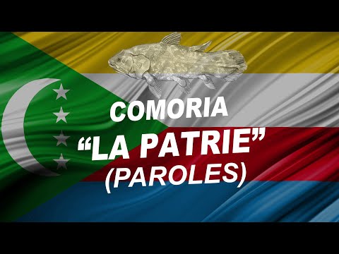Comores Soprano, Rohff, Alonzo, Says'z, Elams, Cheikh Mc, Goulam, Vincenzo… - La Patrie Paroles