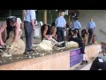 Highland Show 2013 Sheep shearing Senior final