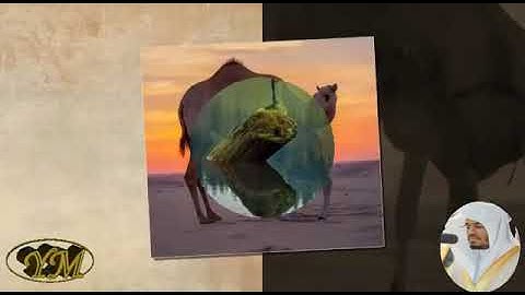 083SuratAlMutaffifin(المصحف كامل بصوت ياسر الدوسري)  سورة المطففين