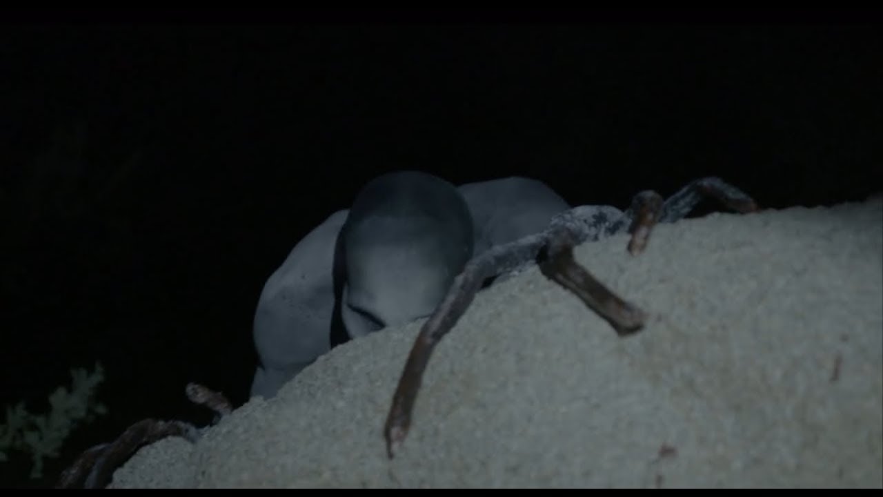 Фото рейков