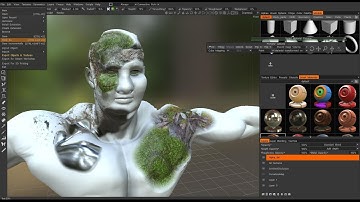 3DCoat-Painting Real Displacement Textures on an iClone CC Character