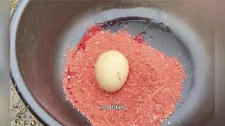 Night Carp Fishing After White Dew: Beat the Cold & Catch More! screenshot 3