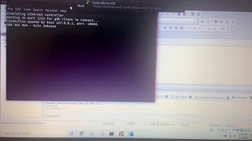 SER 486 HW4 Simulator Run