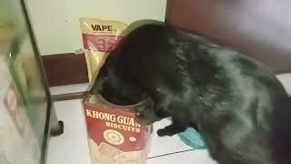 Lagi Belajar Buka Kaleng Makan.. Ngikutin Jejak Abg Gery Yg Udah Pergi
