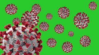 CORONA VIRUS ANIMATION- Green Screen Effect