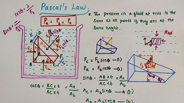 Pascal