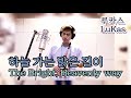 하늘 가는 밝은 길이(The Bright, heavenly way) - 루카스색소폰. LuKas sax