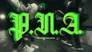 FREEHOWLING - P.N.A. [OFFICIAL MUSIC VIDEO]