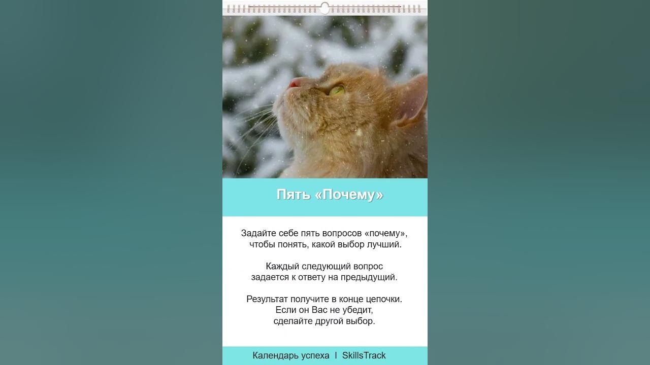 Календарь успеха #126. Пять «Почему» - YouTube