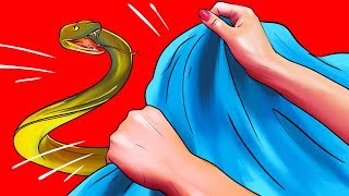 Как поймать змею, которая заползла к вам домой