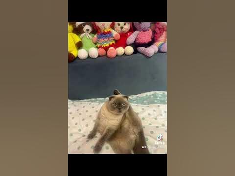 А я звезда а ти не звезда ️ - YouTube