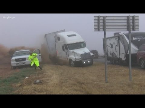 albuquerque car accident death