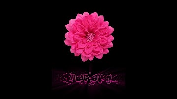 صباح الخير 🌺 اجمل حالات واتس اب مقاطع قصيره🌺 قران كريم ان الله وملائكته يصلون على النبي🌺  بدون حقوق