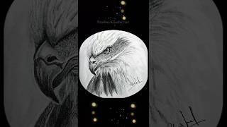 realistic bird drawing | animal drawing tutorial #art #drawing #sketching  @PratimaKaushal-w3y