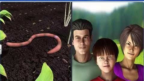 CBSE Class 12 Biology, Reproduction in Organisms – 2, Sexual Reproduction in Organisms