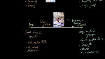 CIE IGCSE PE - Classification of Skill