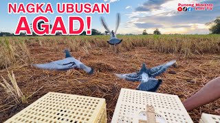 EP489 - MAKA UWI PA KAYA MGA PANG SOUTH NATEN SA BITAW NA ITO!