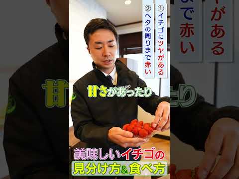 プロが教える！美味しいイチゴの選び方＆食べ方