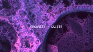 Kali̇te [8D Version] - Organi̇ze