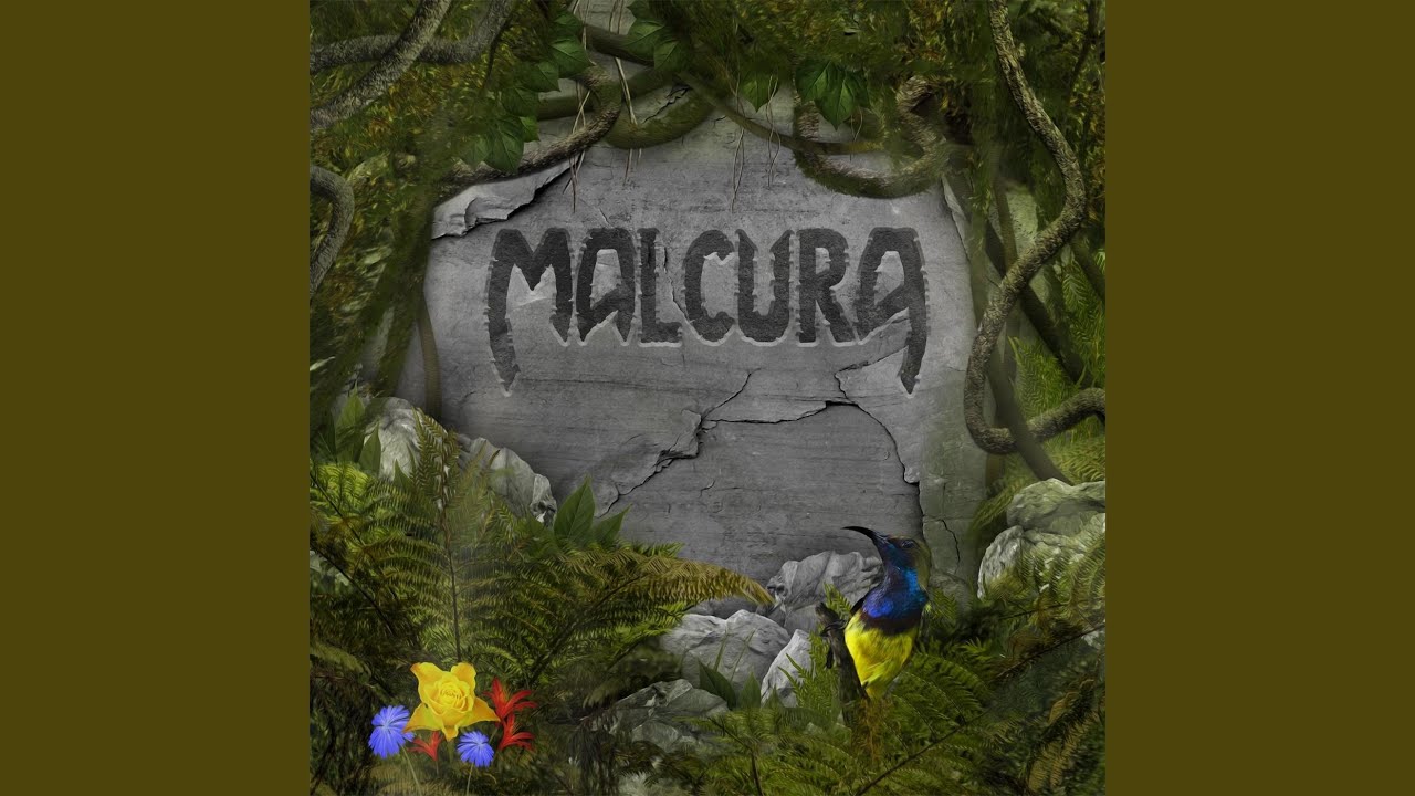 The Arcus auf YouTube ansehen