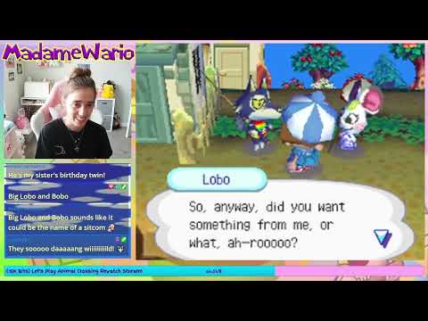 🏡 Animal Crossing: Wild World - Black Cat 😽