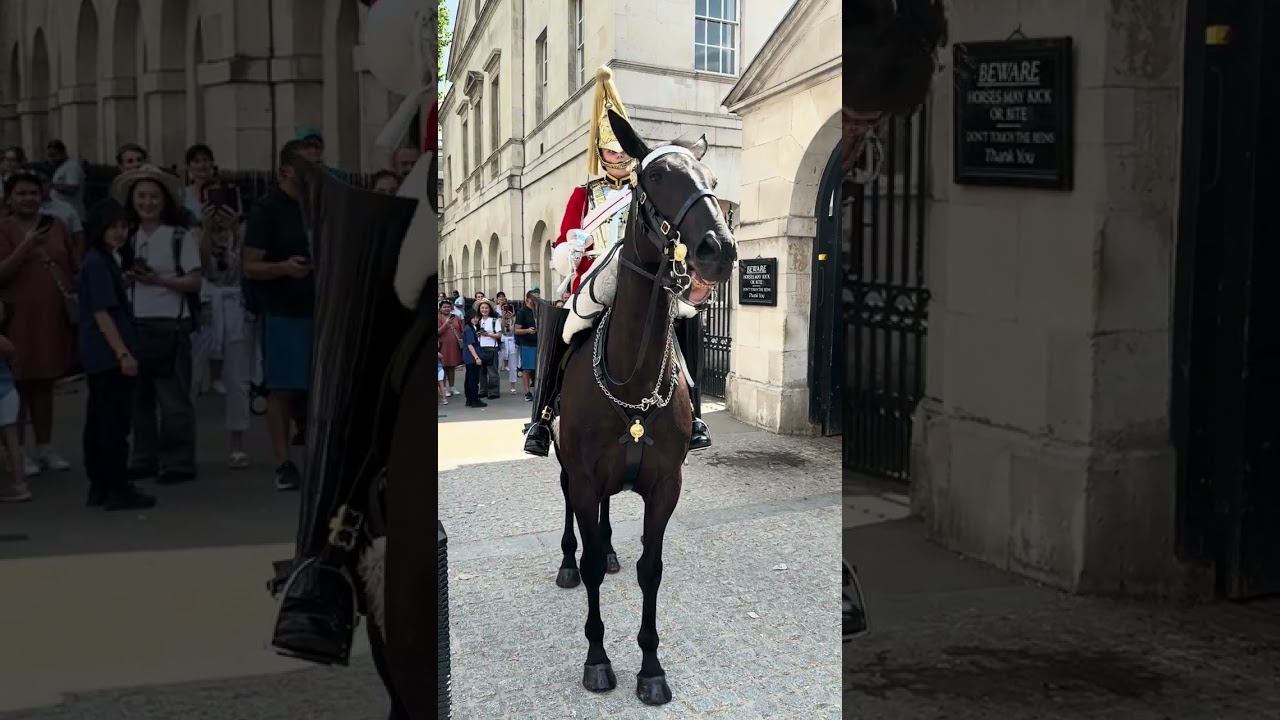 Scary Moment SPOOKED Horse ChargesOut Of Box  Into Tourists!