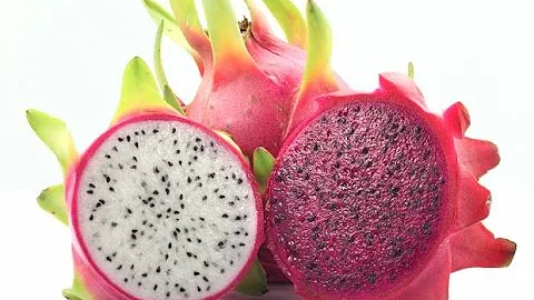 Comment s'appelle l'arbre du pitaya ?