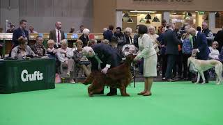 fullsizeoutput 2b14 by thendara show dogs 165 views 5 years ago 1 minute, 30 seconds