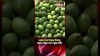 Thumbnail for লাখ টাকার উপরে বেতনেও লেবু কিনতে পারছি না, দিনমজুরের অবস্থা কেমন? | Lemon | Bazar News