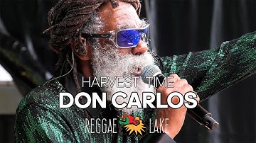 Legendary Don Carlos - Harvest Time Live at Reggae Lake Festival Amsterdam 2025