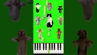 Cat Dancing Chinese Meme Song (Piano Duet)