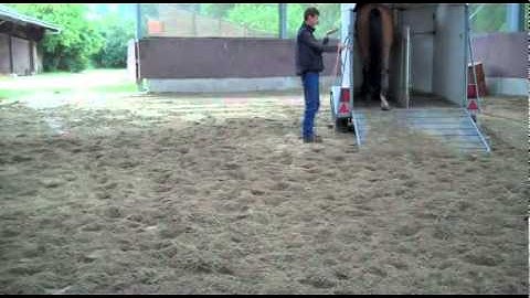 Holding the tools to load horse on a trailer