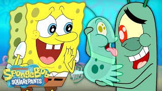 Plankton Adopts A New Pet! 😍 | "Plankton's Pet" Full Scene | SpongeBob