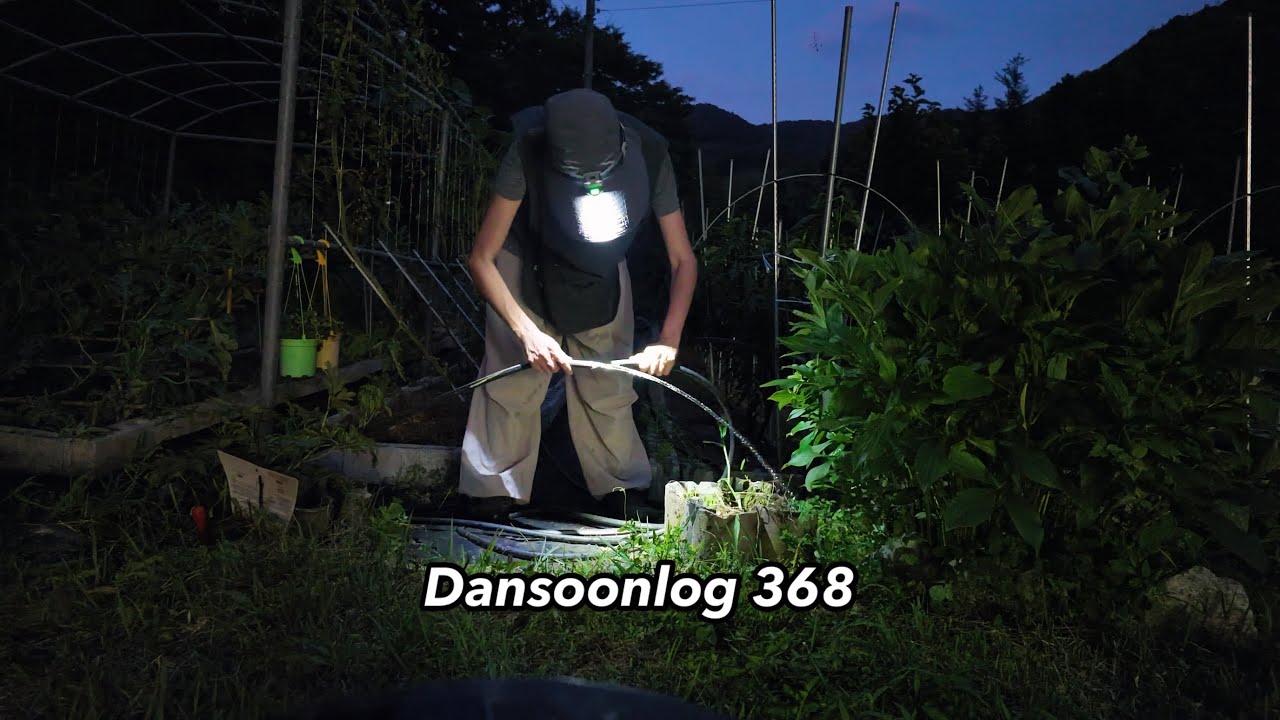 단순로그368 역대급 장마💦라고 했는데 역대급 가뭄으로 난리 난 시골 텃밭😎 vlog