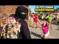 SEQUESTRARAM OS NOSSOS CACHORRINHOS *Recuperamos eles?