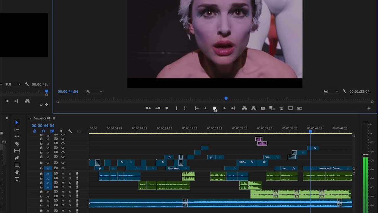 Black Swan Timeline - Raven Elexa